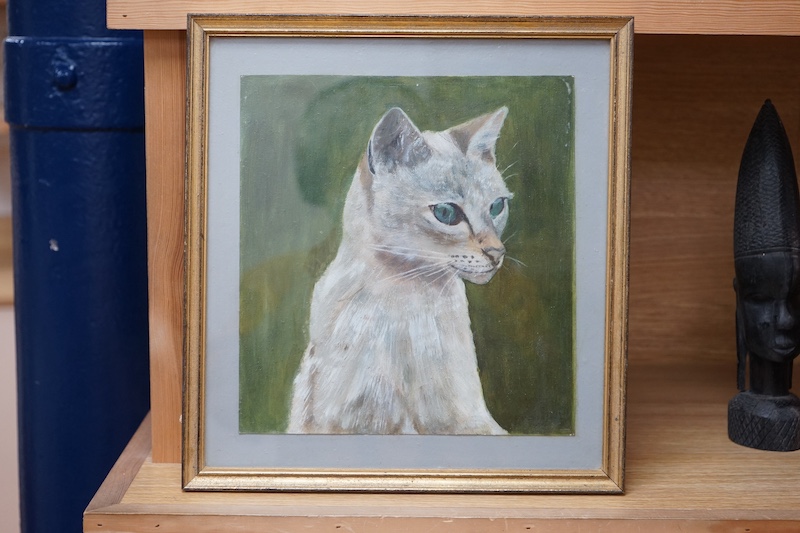 20th century School, oil on unstretched canvas, Study of a cat, indistinctly signed and dated 1977? lower right, 25 x 23cm. Condition - fair